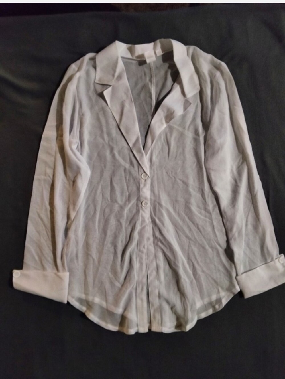 Dreamgirl Light Gray Sheer Button-Down Blouse